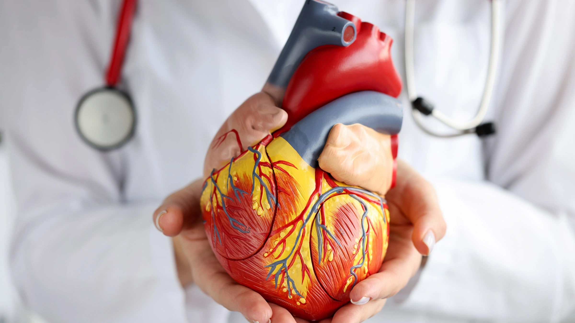 Cardialogy